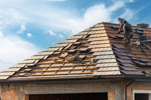 Best Roof Ventilation Installation  in Botkins, OH