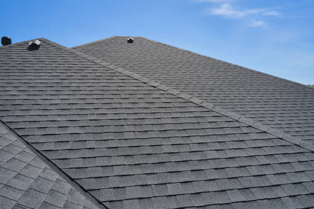 Best Roof Moss and Algae Removal  in Botkins, OH